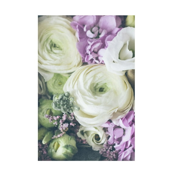 Trademark Fine Art uplusmestudio Lovely Ranunculus Canvas Wall Art