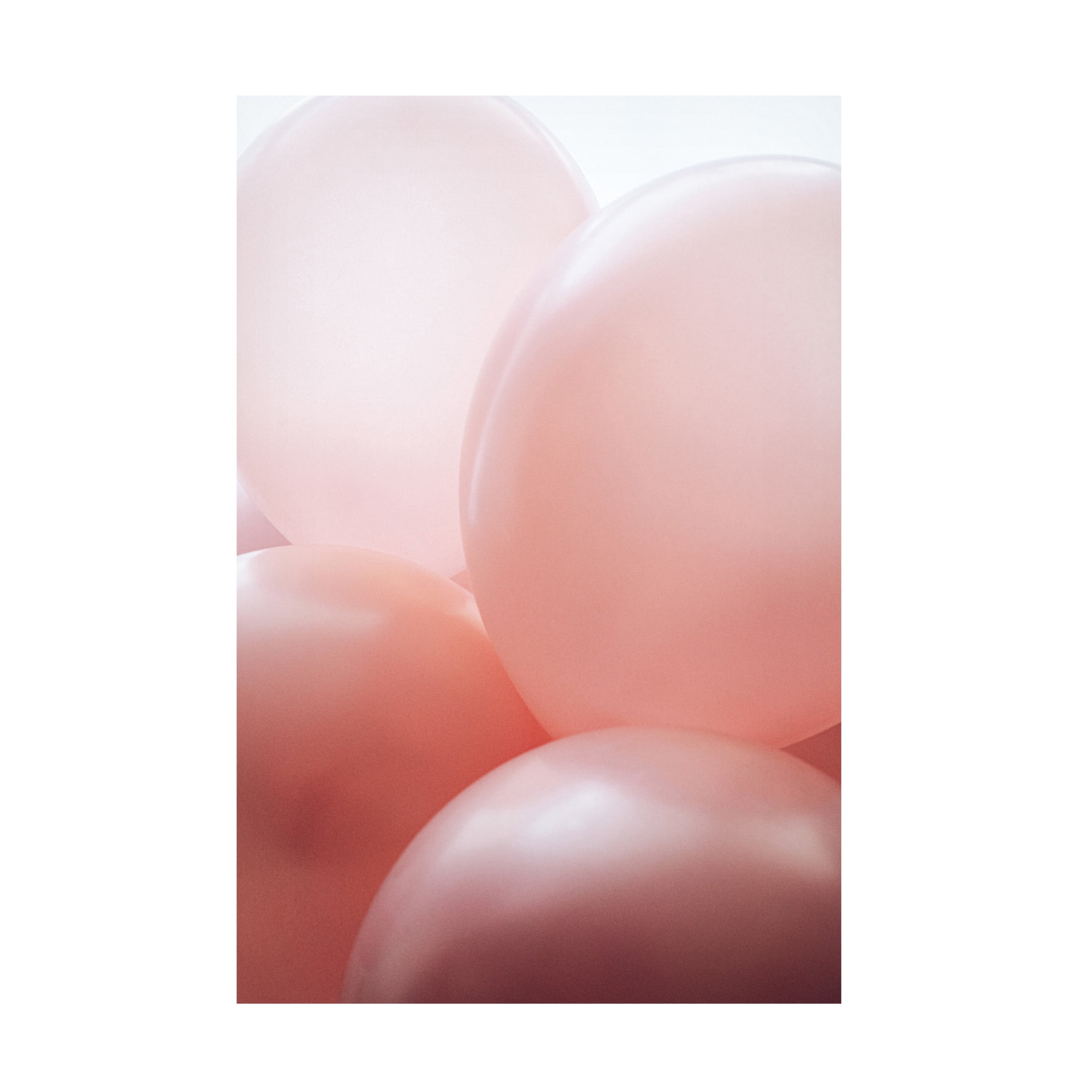 Trademark Fine Art uplusmestudio Rosy Balloons Canvas Wall Art