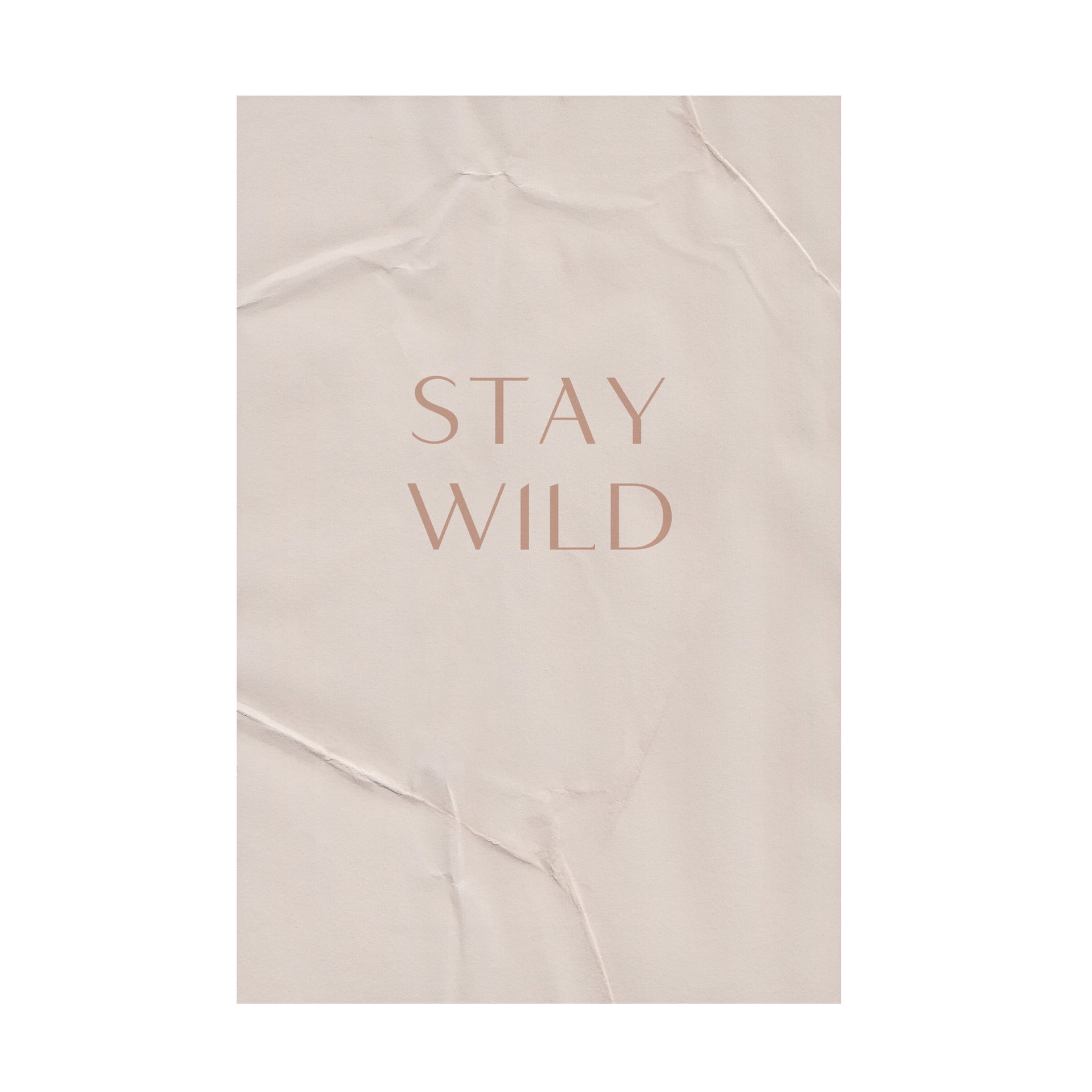 Trademark Fine Art uplusmestudio Stay Wild Canvas Wall Art