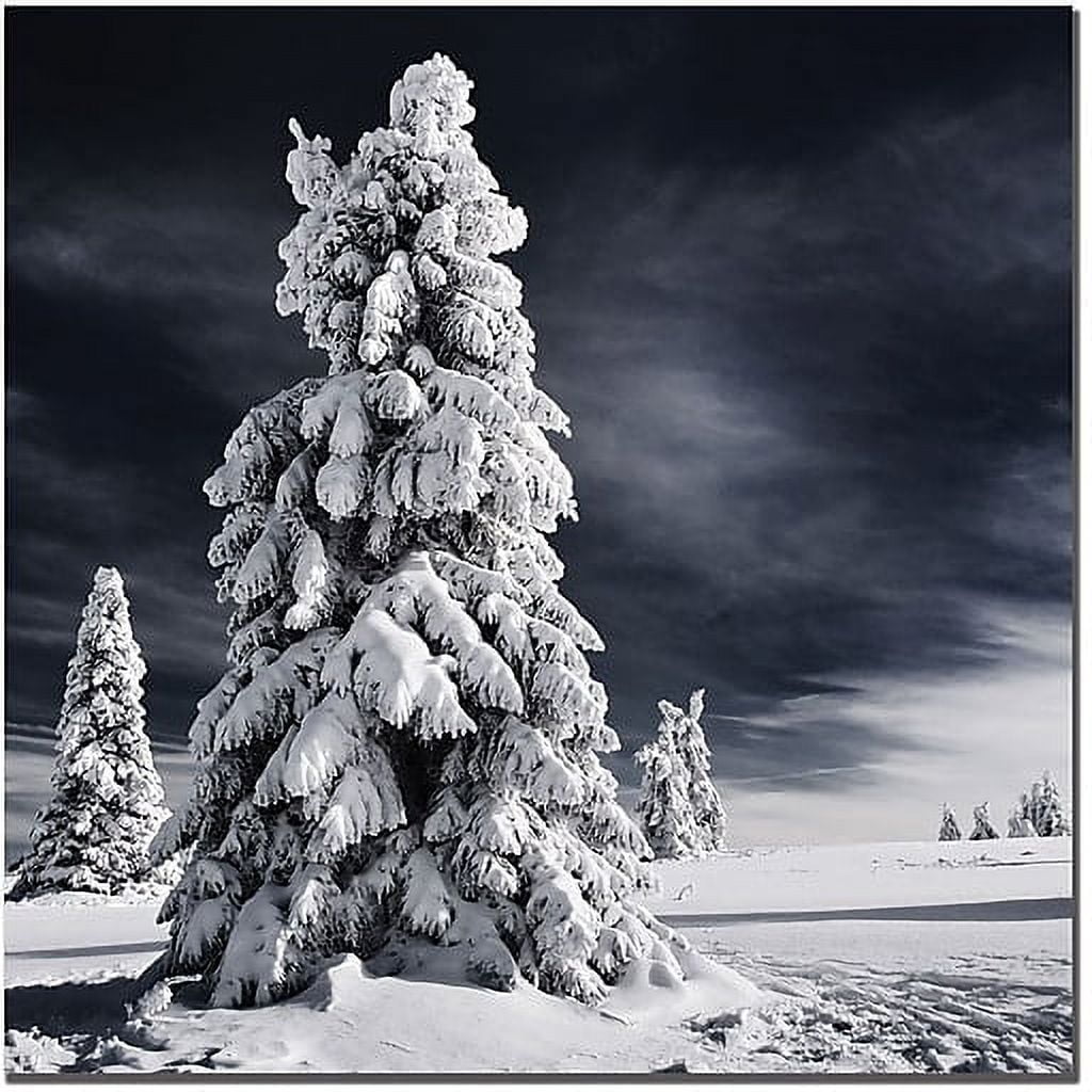 Trademark Global Philippe Sainte Laudy 'White Ink' Canvas Art, 35' x 35'