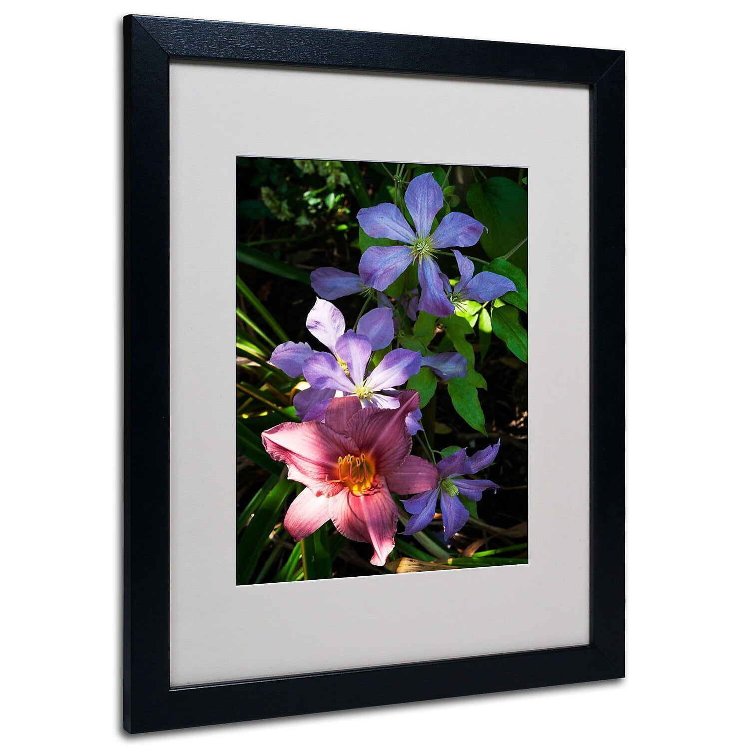 Trademark Kurt Shaffer "Clematis and Lily" Art White Matte With Black Frame 16" x 20"