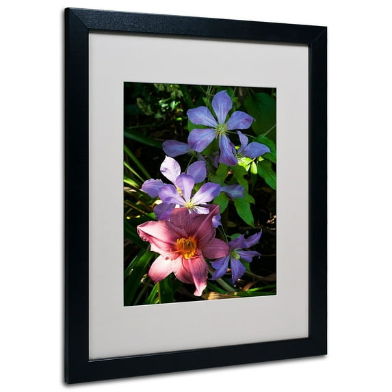 Trademark Kurt Shaffer "Clematis and Lily" Art White Matte With Black Frame 16" x 20"