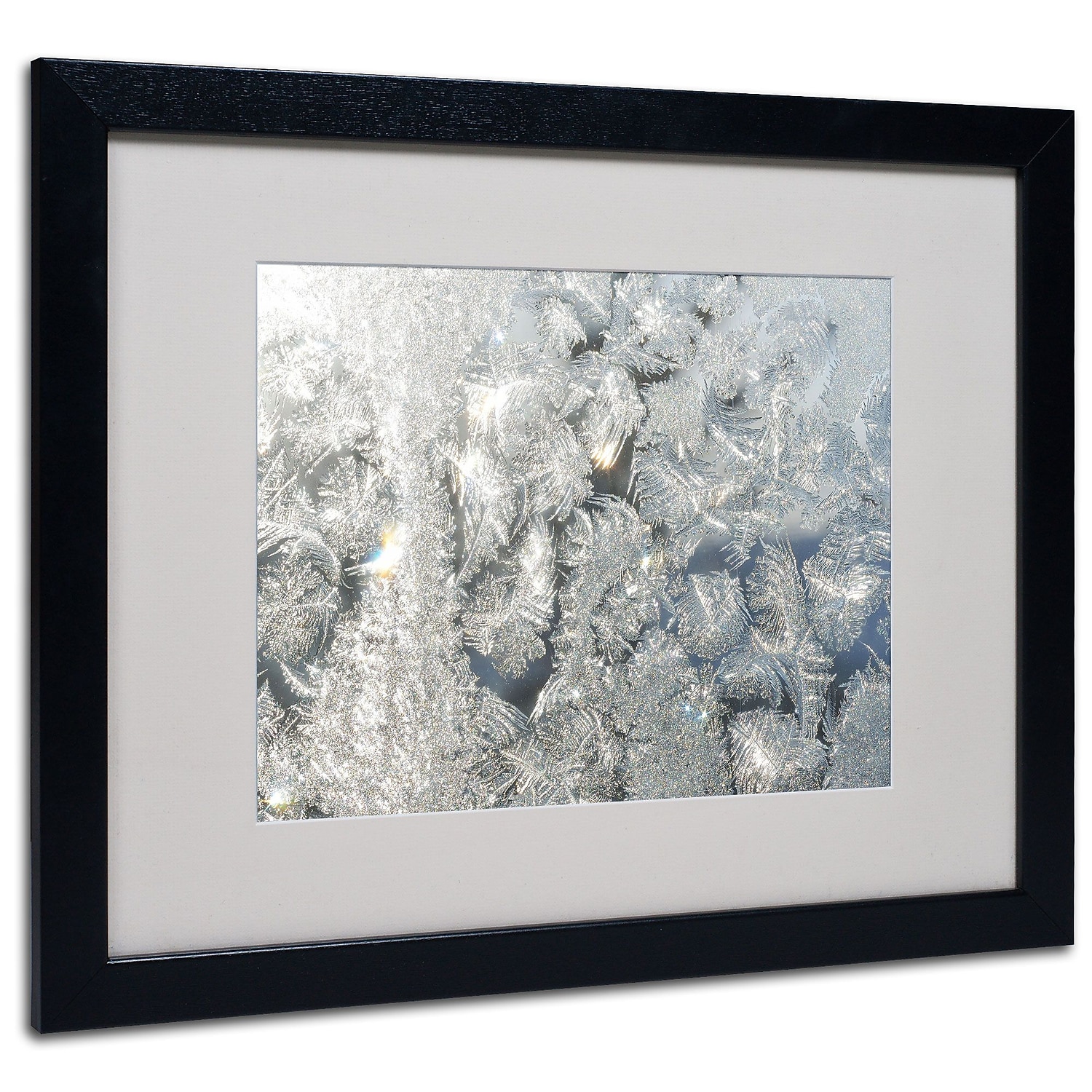 Trademark Kurt Shaffer "Frost Pattern in the Sun" Art White Matte With Black Frame 16" x 20"