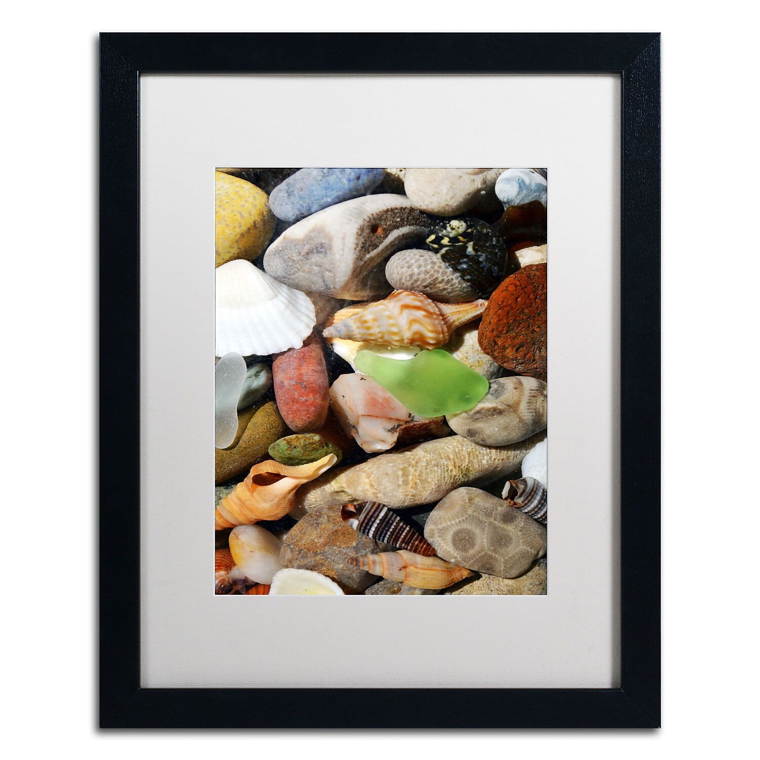 Trademark Michelle Calkins "Petoskey Stones l" Art White Matte With Black Frame 16" x 20"