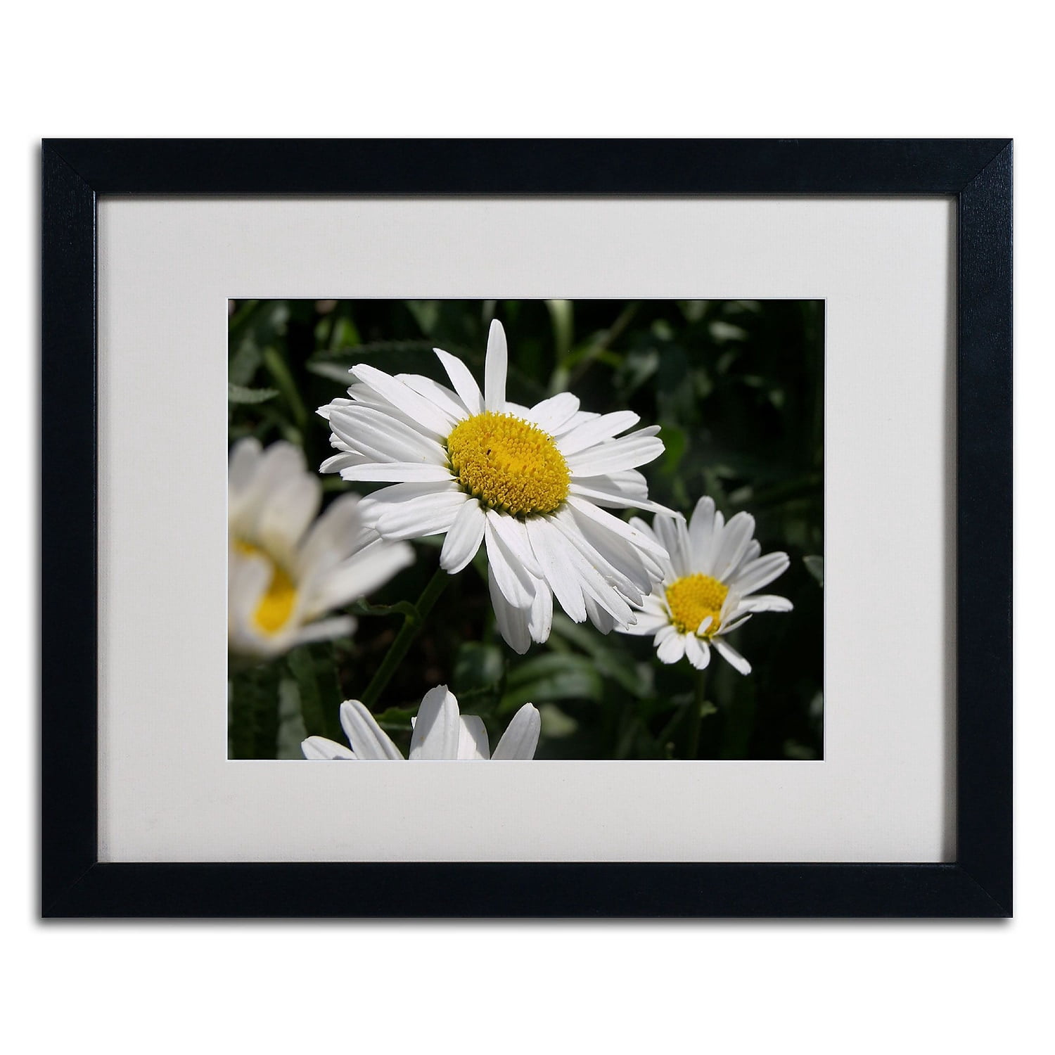 Trademark Monica Fleet "Dominating Beauty" Art White Matte W/Black Frame 16" x 20" (MF066-B1620MF)