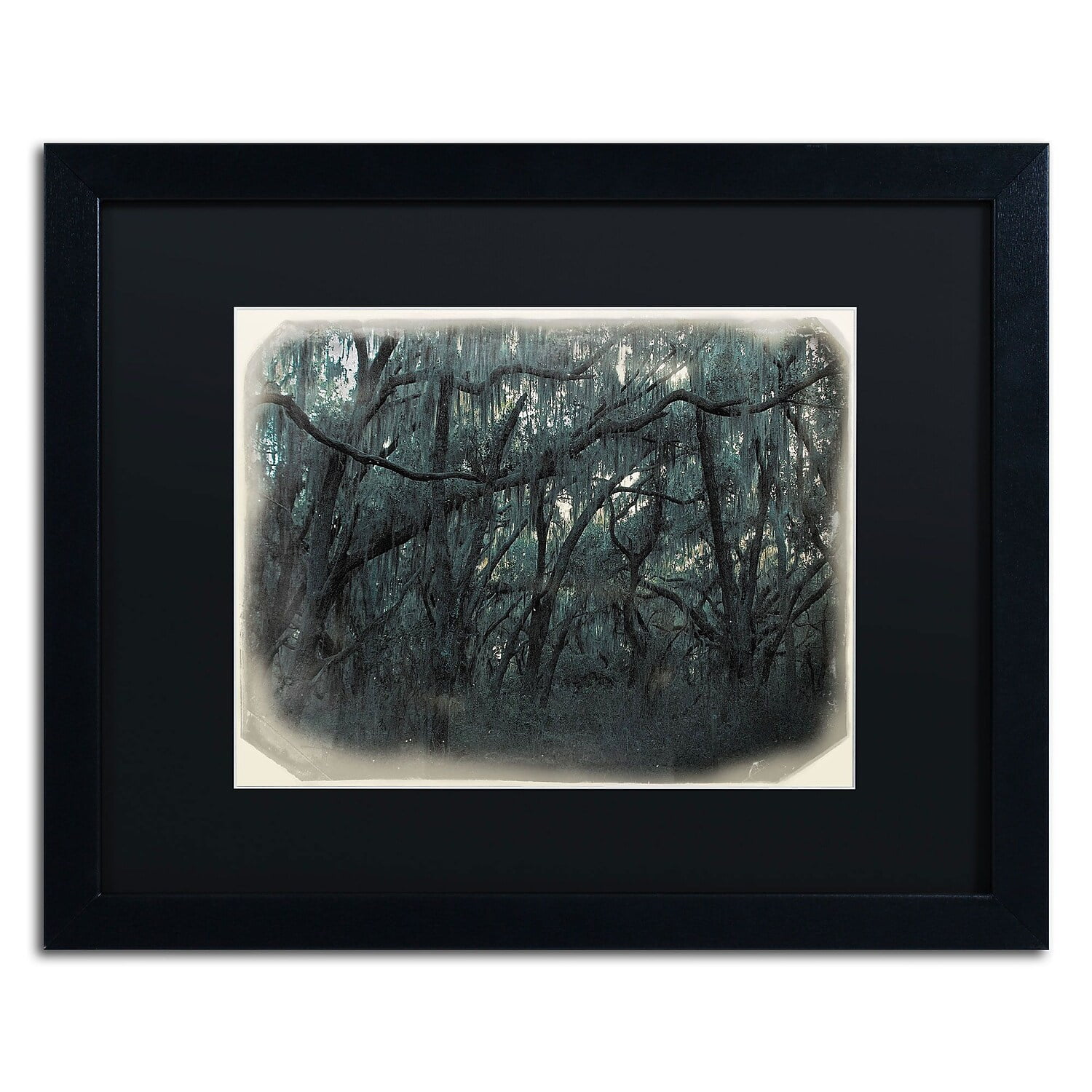 Trademark Patty Tuggle "Forest Dreams" Art Black Matte With Black Frame 16" x 20" (PT0125-B1620BMF)
