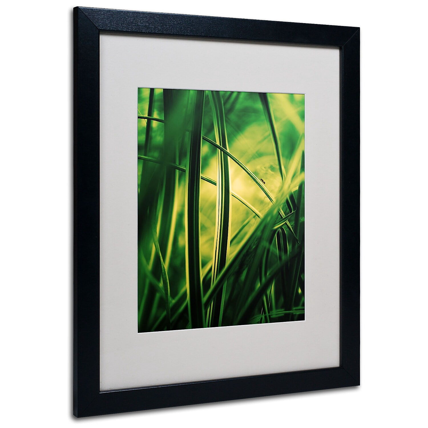 Trademark Philippe Sainte-Laudy "Miniature" Art White Matte With Black Frame 16" x 20"