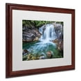 thumbnail image 1 of Trademark Pierre Leclerc "Golden Ears Falls" Art, White Matte W/Wood Frame, 16" x 20", 1 of 1