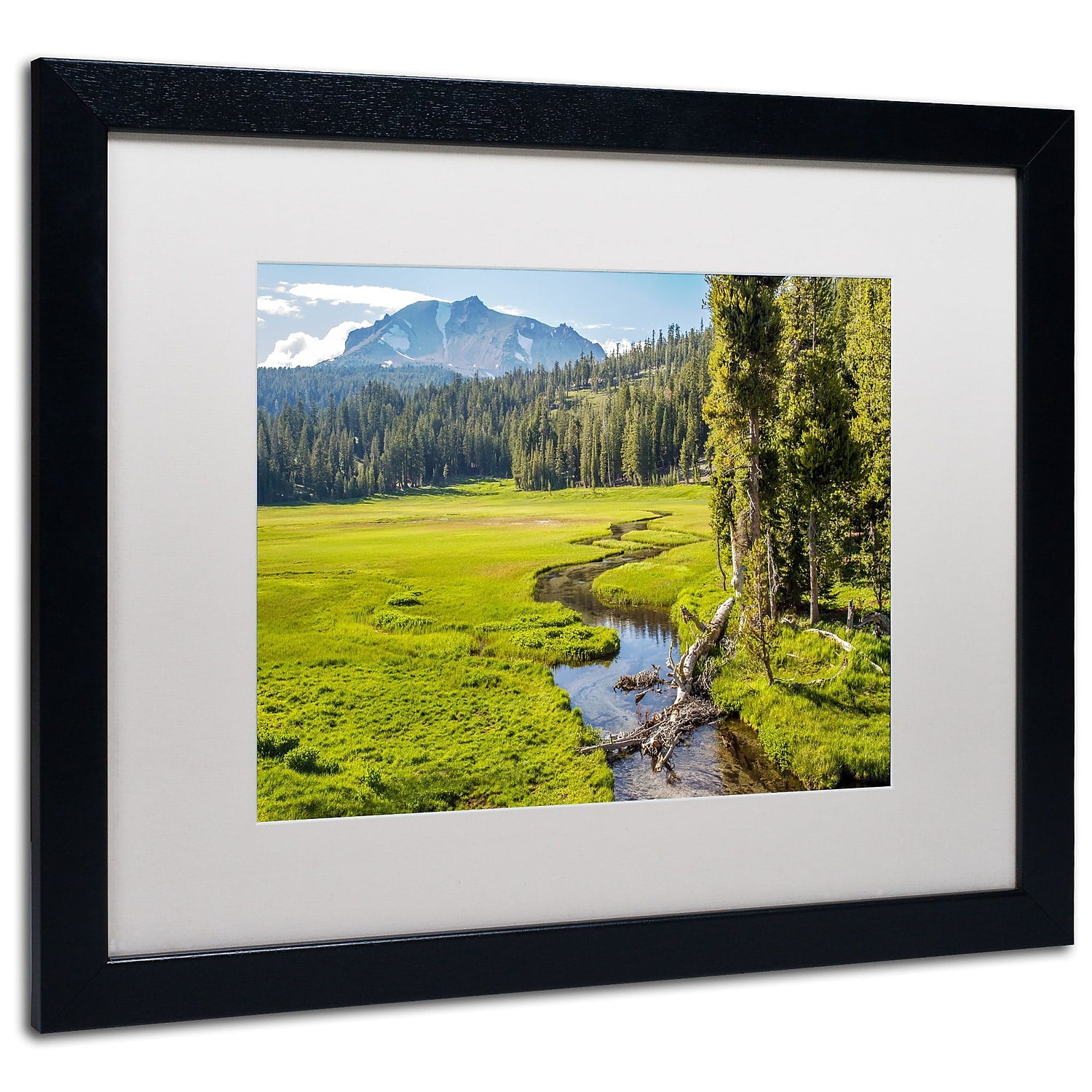 Trademark Pierre Leclerc "Lassen Meadow" Art White Matte W/Black Frame 16" x 20" (PL0129-B1620MF)