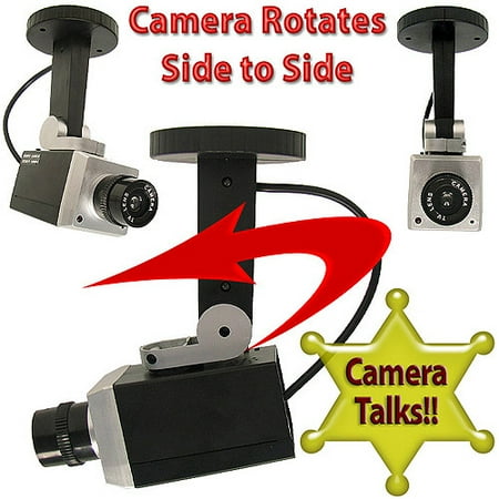 Trademark Simulation Security Camera Wit