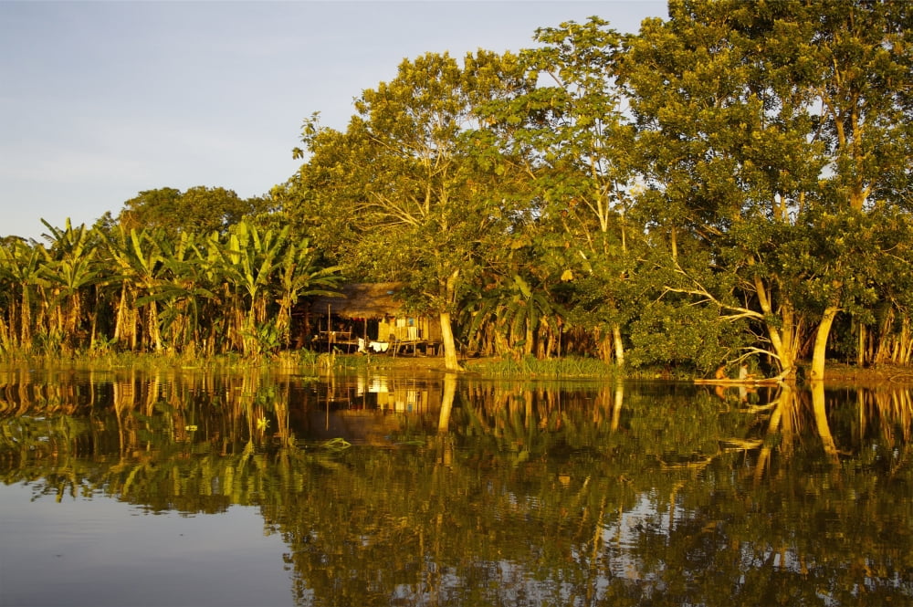 Traditional Amazon Village Peru Canvas Art - Paul Miles Design Pics (19 x 12)