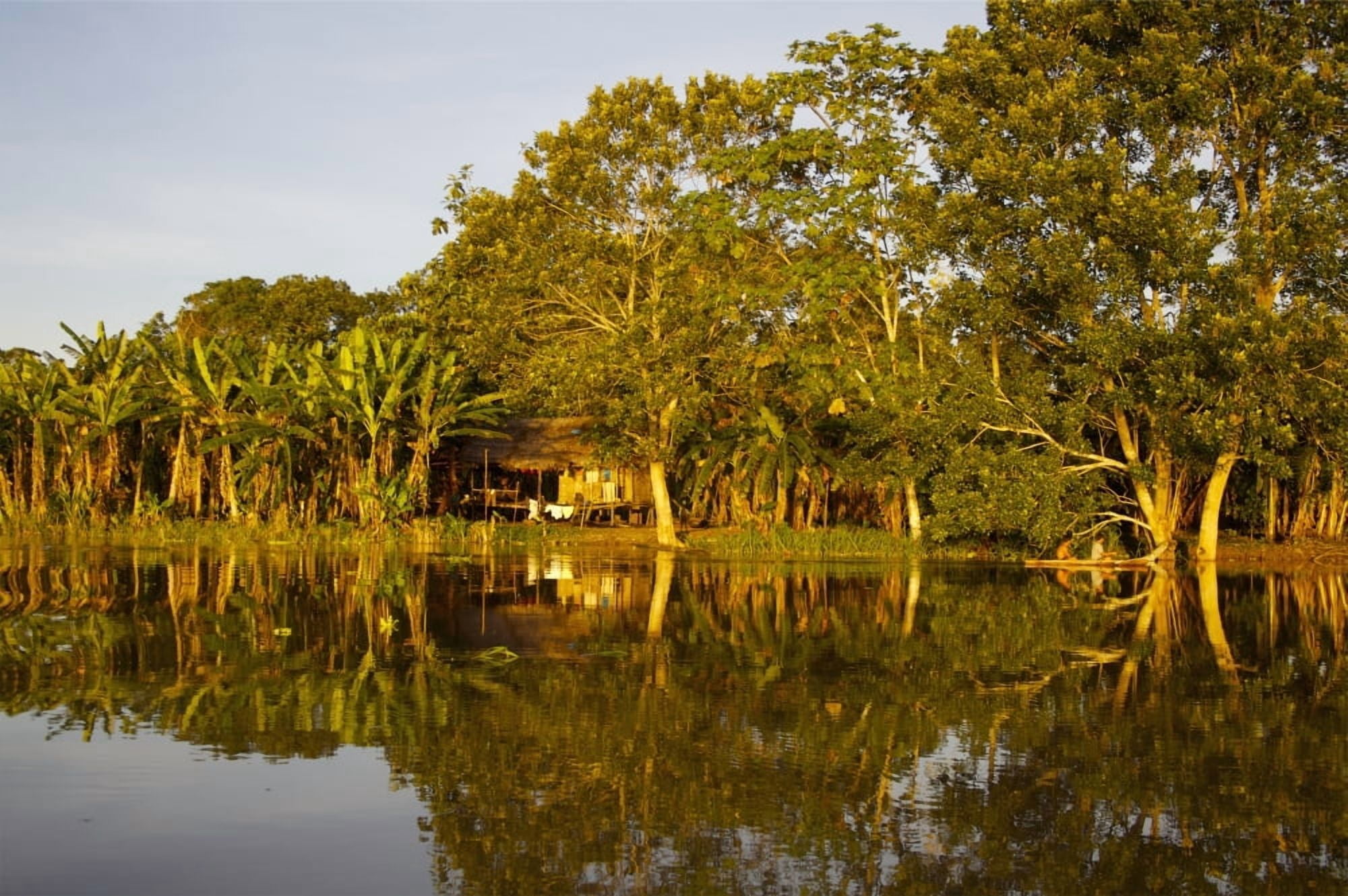 Traditional Amazon Village Peru Canvas Art - Paul Miles Design Pics (38 x 24)