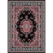 Traditional Area Rug Bordered Medallion Design Persian Oriental Rugs Carpet Runners