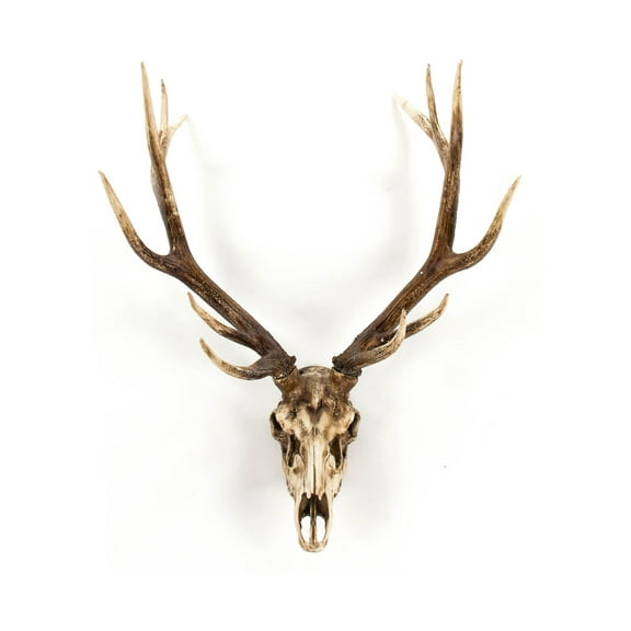 Traditional Chestnut Deer Skull Wall Decor Poly Resin Art