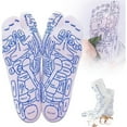 thumbnail image 1 of Traditional Chinese Acupressure Foot Massage Socks With Precise Point Indicators For Enhanced Relaxation And Wellness, 1 of 8