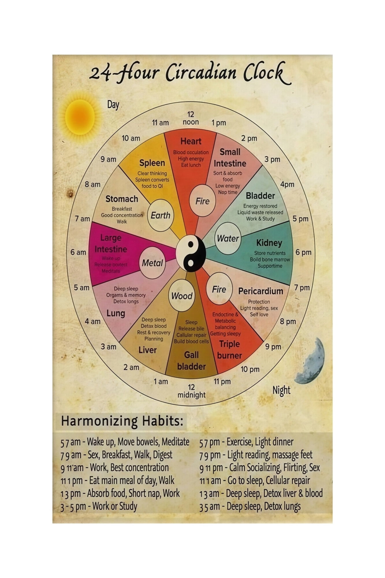 Traditional Chinese Body Clock Chart 24 Hour Meridian Flow Diagram ...