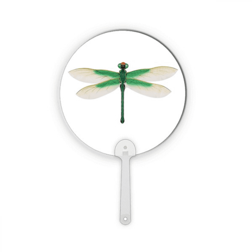 Traditional Chinese Kite Dragonfly Pattern Plastic Round Handheld Fan Decorations Craft