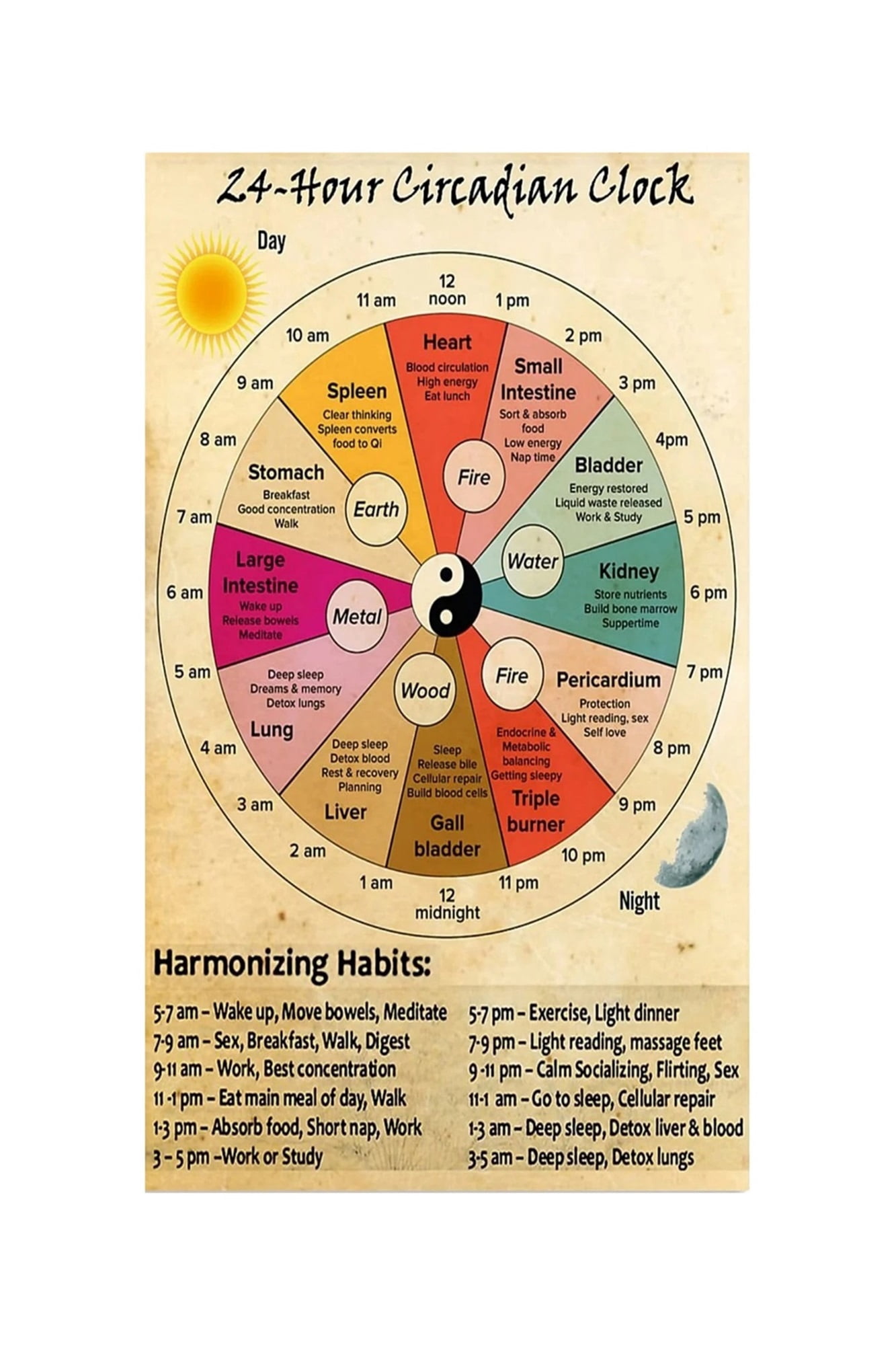 Traditional Chinese Medicine Body Clock Chart 24 Hour Organ Function ...