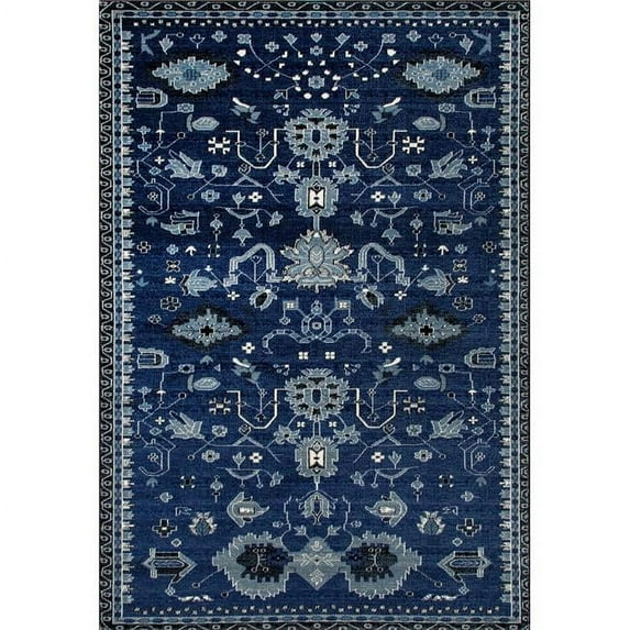Traditional Classic Woven Area Rug, 039