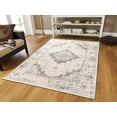 thumbnail image 1 of Traditional Distressed Area Rug 8x10 Large Rugs for Living Room 5x8 Gray Ivory, 1 of 6