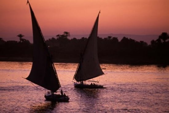 Traditional Feluccas Set Sail on the Nile River Egypt Canvas Art - Nik Wheeler DanitaDelimont (35 x 24)