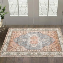 Traditional Floral Area Rug 2x3ft, Washable Non-Slip Low Pile Floor Mat, for Bedroom, Living Room