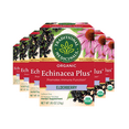thumbnail image 1 of Traditional Medicinals Echinacea Plus Elderberry Seasonal Tea Organic, 16 ct (Pack - 6), 1 of 8