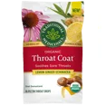 thumbnail image 1 of Traditional Medicinals Lemon Ginger Echinacea Lozenges 16 Count (Pack of 12), 1 of 3