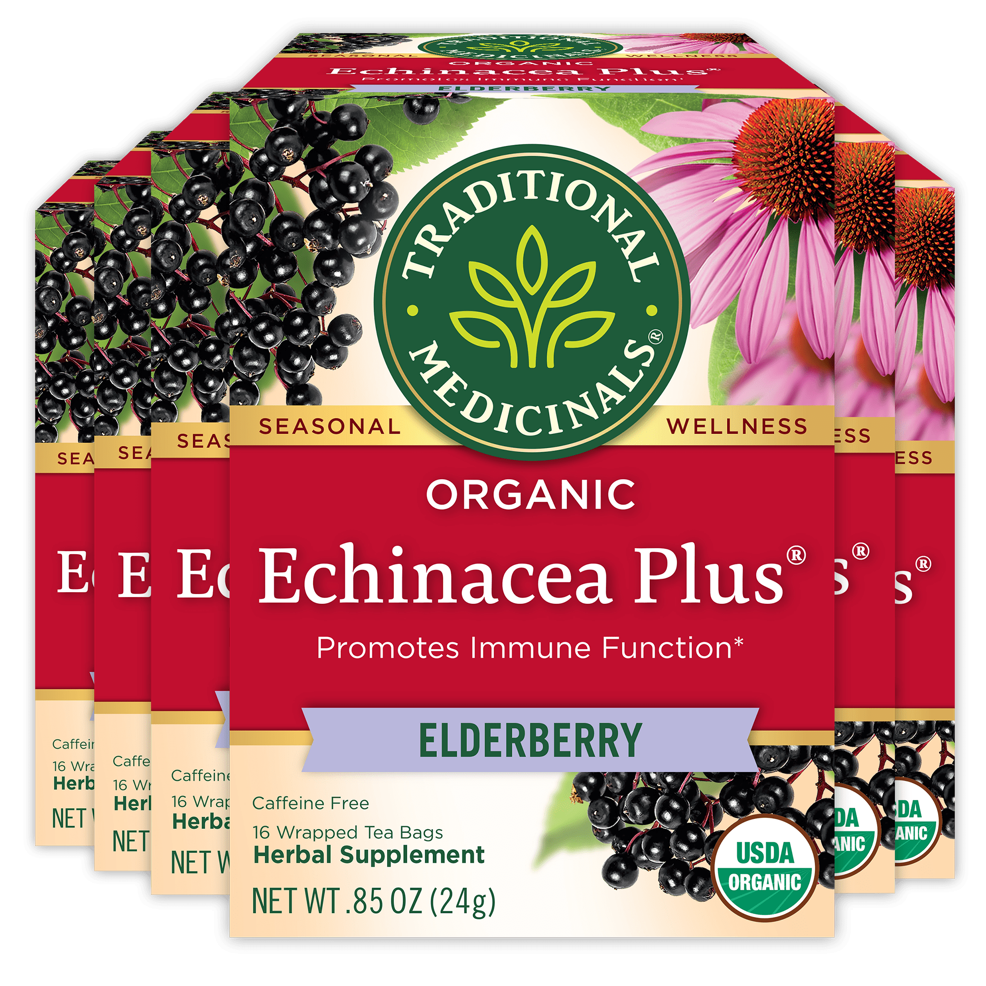 (6 pack) Traditional Medicinals, Organic Echinacea Plus Elderberry, Tea Bags, 16 Ct