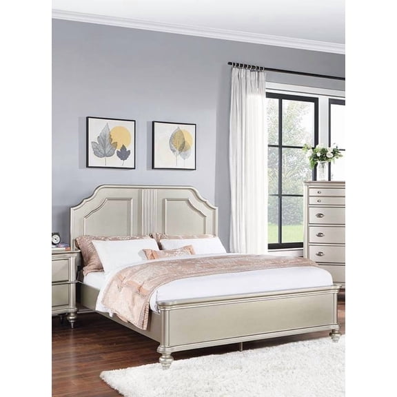 Traditional Style Eastern King Size Bed 1pc Two Panel Bed Silver Finish Bedroom Furniture