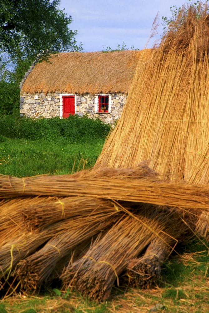 Traditional Thatching Ireland Canvas Art - The Irish Image Collection Design Pics (24 x 36)