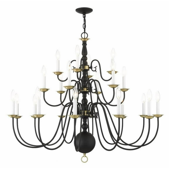 Traditional Twenty Two Light Chandelier-Black Finish Bailey Street Home 218-Bel-4188776
