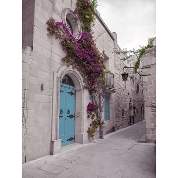 Traditional houses on narrow lanes of Mdina Malta Poster Print by Assaf Frank