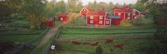 Traditional red farm houses and barns at village Stensjoby Smaland Sweden Canvas Art - Panoramic Images (36 x 12)