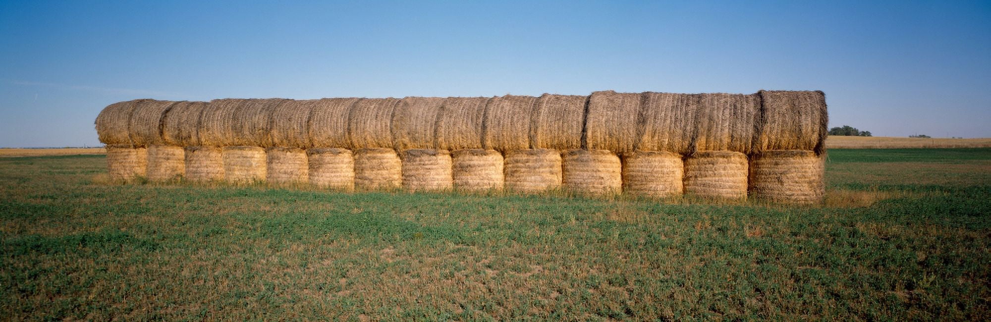 Traditional structure at a farm South Dakota USA Canvas Art - Panoramic Images (36 x 12)