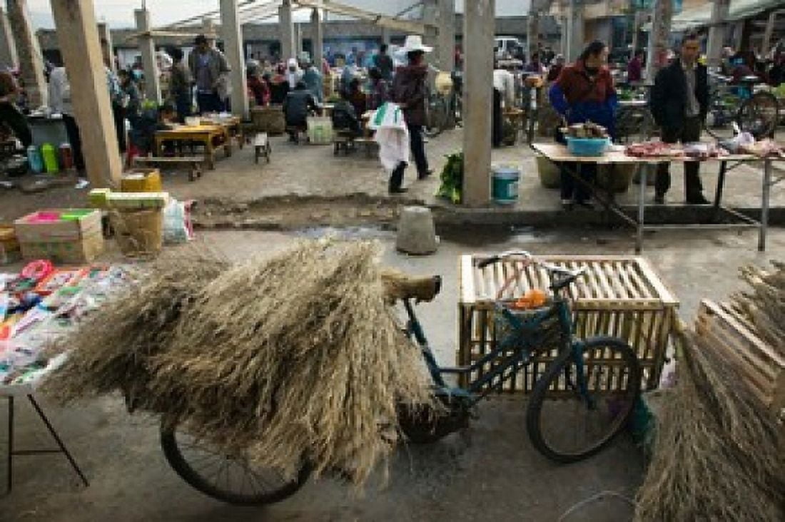 Traditional town market with grass on bicycle for making brooms Xizhou Erhai Hu Lake Area Yunnan Province China Canvas Art - Panoramic Images (36 x 24)