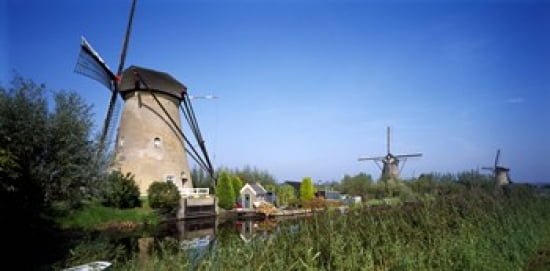 Traditional windmills in a field Netherlands Canvas Art - Panoramic Images (24 x 12)