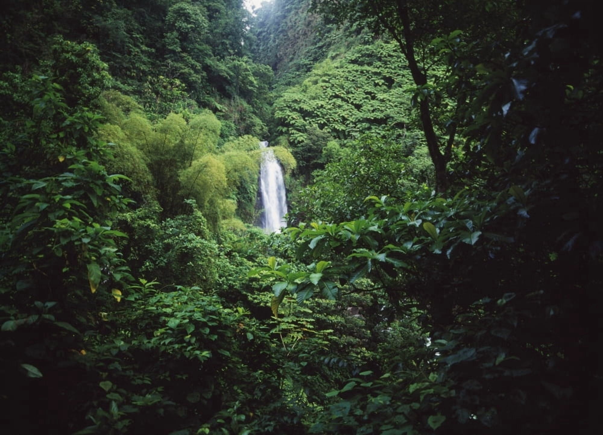 Trafalgar Falls Canvas Art - Ian Cumming Design Pics (18 x 13)