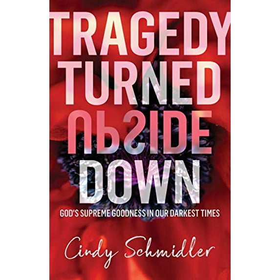 Pre-Owned Tragedy Turned Upside Down (Paperback) 1632968002 9781632968005