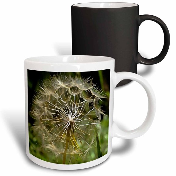 3drose, Tragopogon Wildflower Salsify Nature Lovers Art, 11oz Magic Transforming Mug