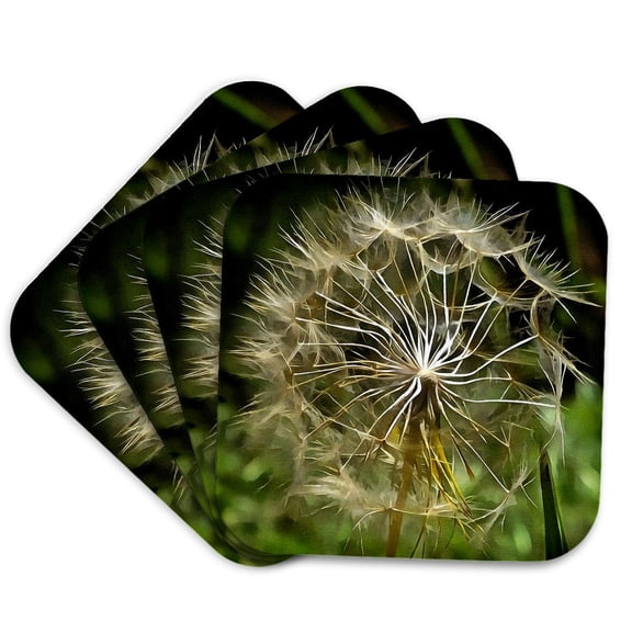 3drose, Tragopogon Wildflower Salsify Nature Lovers Art, Set of 4 Coasters - Soft
