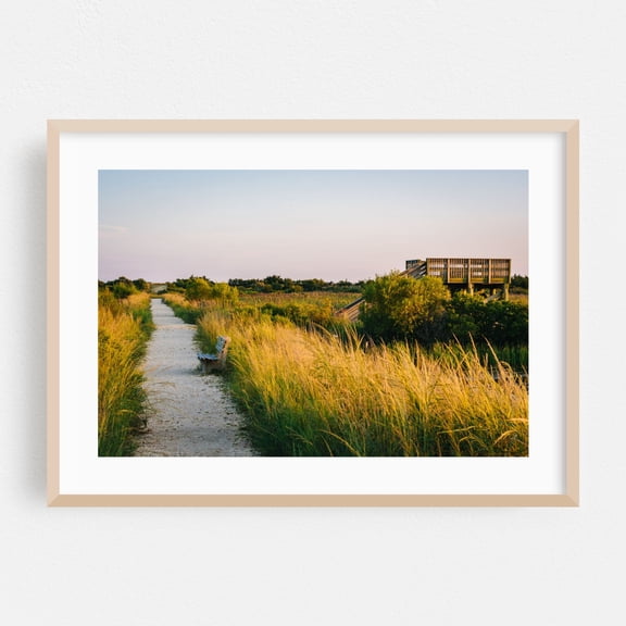 Trail & Blind - Cape May New Jersey Photography Oak Framed Wall Art Print 24 x 36 inches