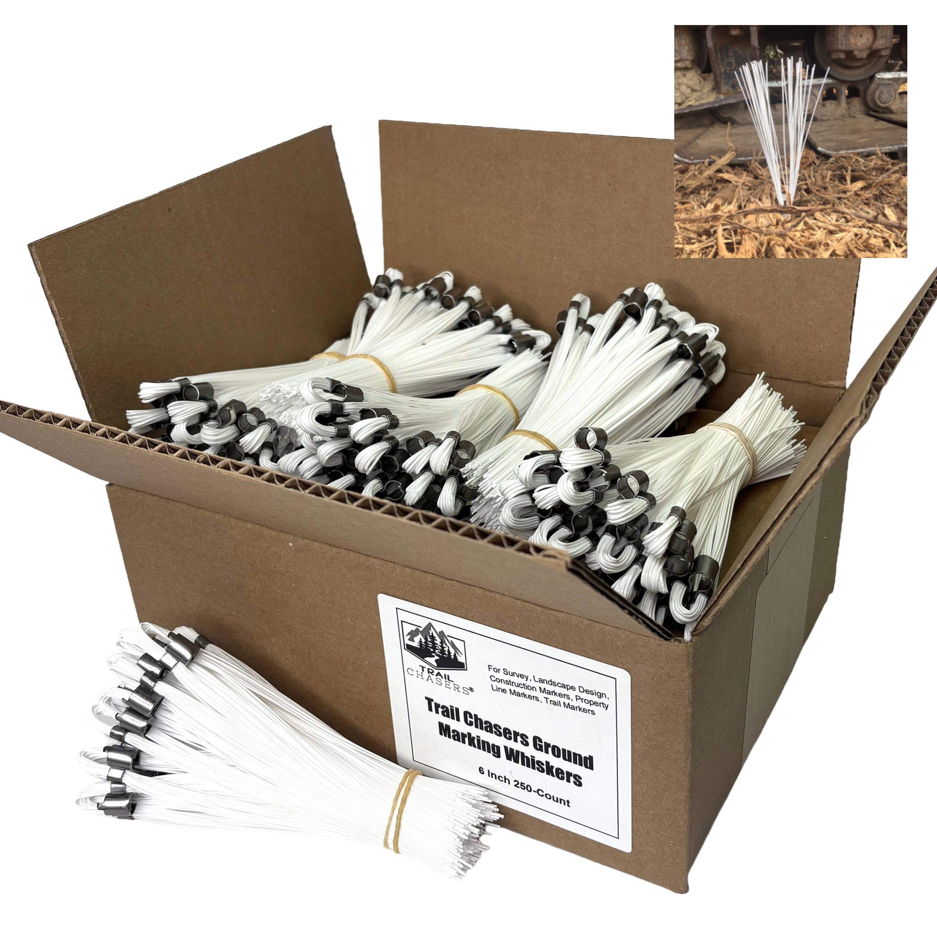 Trail Chasers White Marking Whiskers, 6 Inch, 250 Count for Survey ...