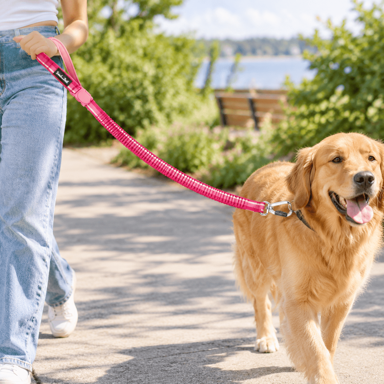 Trail Dash Dog Leash Ic Buckle Rose 7-9ft - Walmart.com