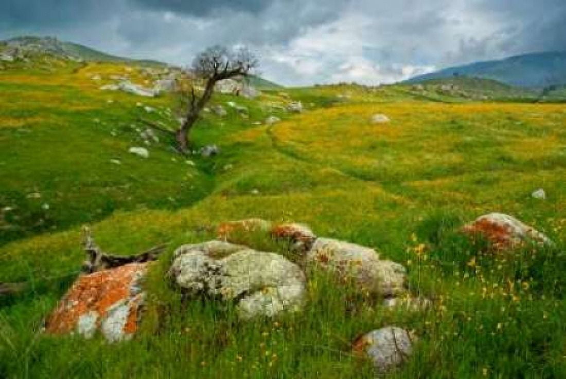 Trail Northward Canvas Art - Mark Geistweite (20 x 28)
