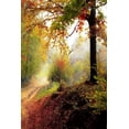 thumbnail image 1 of Trail Through the Wood: Some Trails Are Single Use and Can Only Be Used for Walking, Cycling, Horse Riding, Snowshoeing, or Cross-Country Skiing. There Are Also Unpaved Trails Used by Dirt Bikes and O, 1 of 1