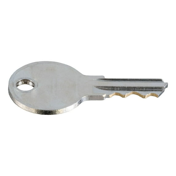 TrailFX KEYCH507 - Replacement Key (Key Code: 507)