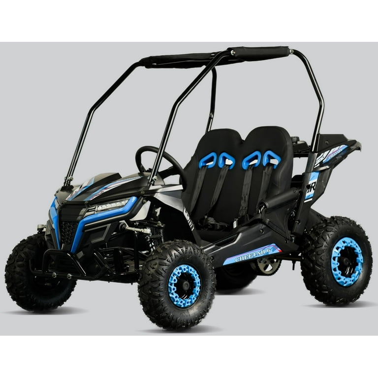 TrailMaster Cheetah 6 Youth Go-Kart - 163cc 5.5HP Engine, 4-Point