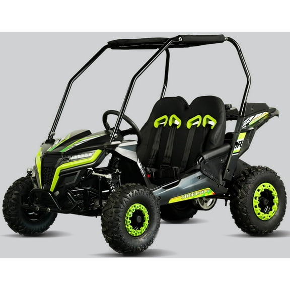 TrailMaster Cheetah 6 Youth Go-Kart - 163cc 5.5HP Engine, 4-Point Safety Belt, Remote Kill, Speed Governor, Suitable for Kids 6-12. with Pre-Assembled Version Now! (Plus, Green)