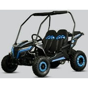 TrailMaster Cheetah 6 Youth Go-Kart - 163cc 5.5HP Engine, 4-Point Safety Belt, Remote Kill, Speed Governor, Suitable for Kids 6-12. with Pre-Assembled Version Now! (Pre-Assembled, Blue)